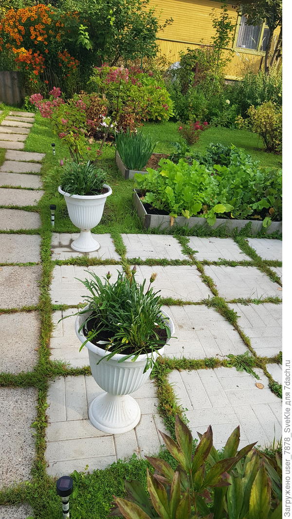 Посмотрим, что получится)