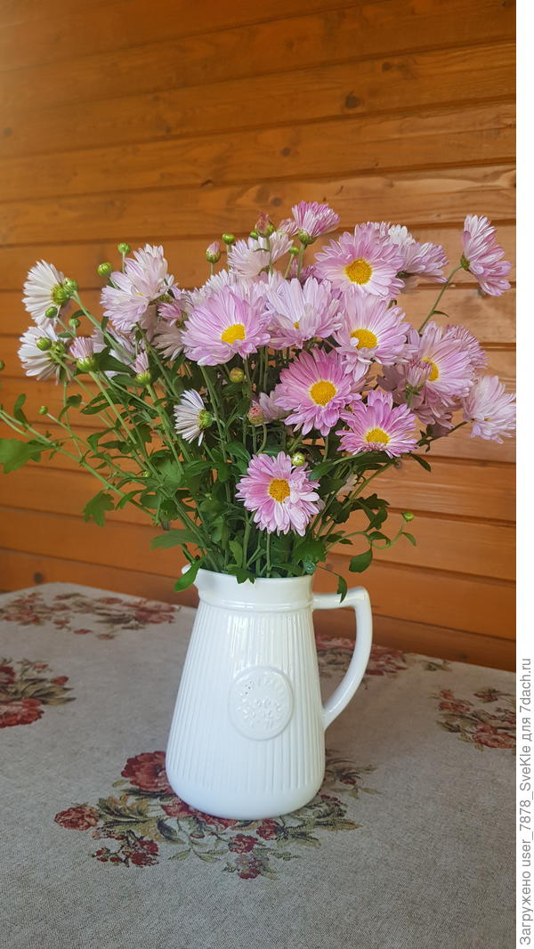 Букет выходного дня