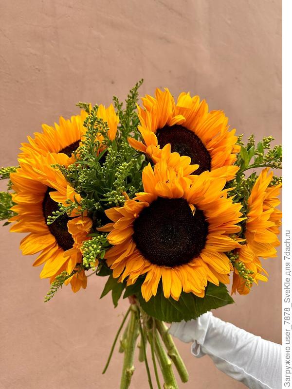 От меня с большой благодарностью 🧡