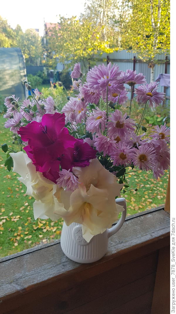 По-летнему тёплая, но осень 🍂🍁