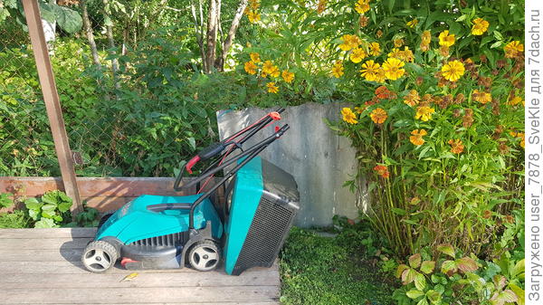 Моя помошница сохнет после помывки