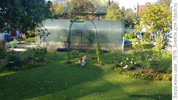 Вот как-то так. Да, еще кабачки выдернули, хотя Хит сезона всё завязывает и завязывает. Очень нам он понравился