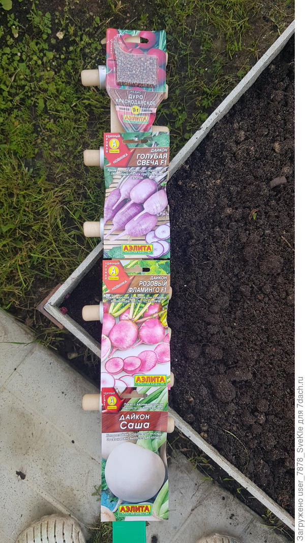 Итак, что было засеяно 25 июля