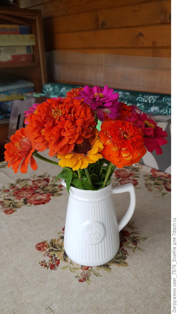 Букету хоть бы хны