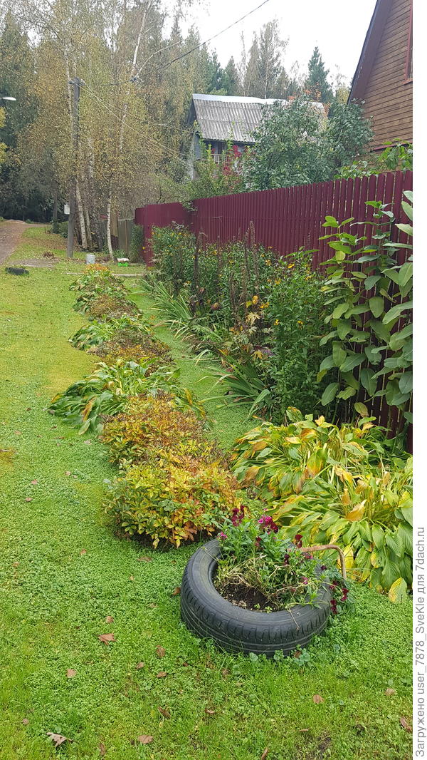 За забором еще непочатый край!