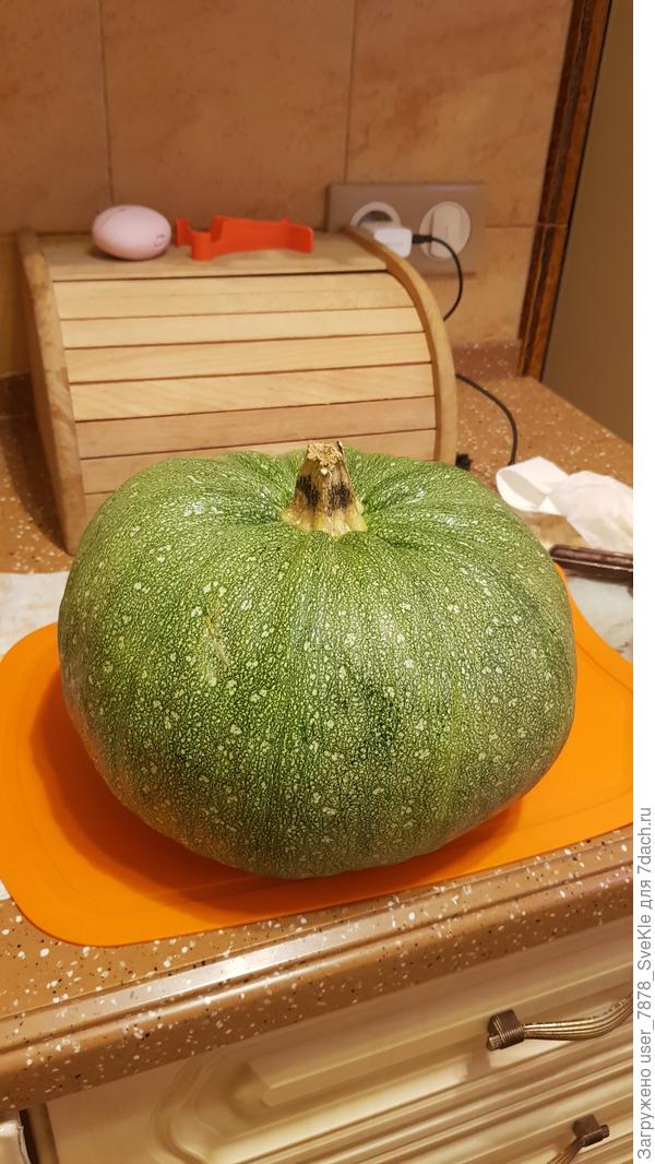 Какой же этот Мячтк вкусный! И не дубовый при своих-то размерах