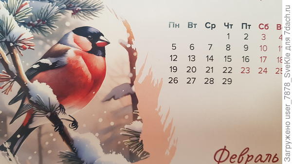 У снегиря 3 лапки, как минимум. Но кажется, что их 4