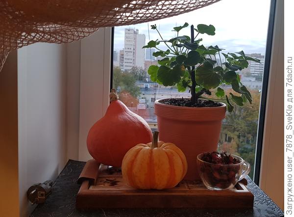 Прекрасное октябрьское пятничное утро🧡