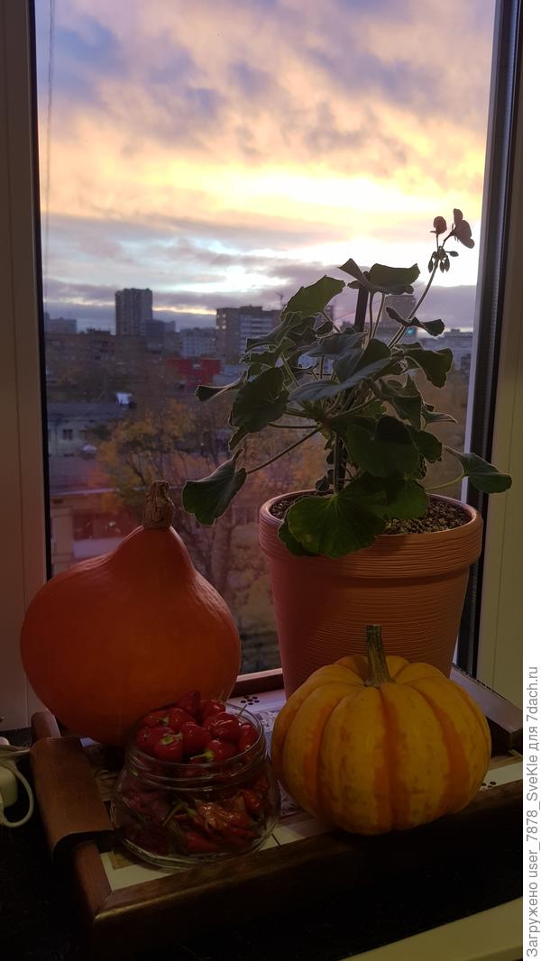 За окном вот так