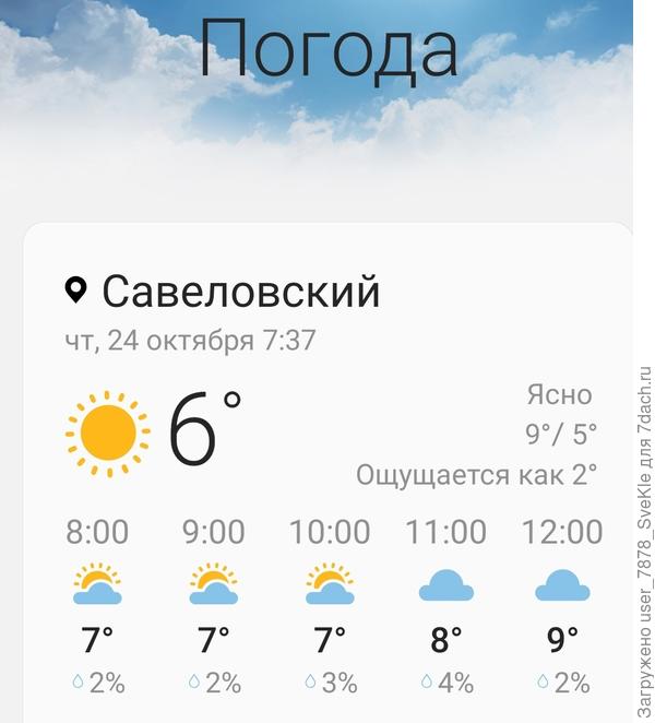 Телефон рисует такой прогноз