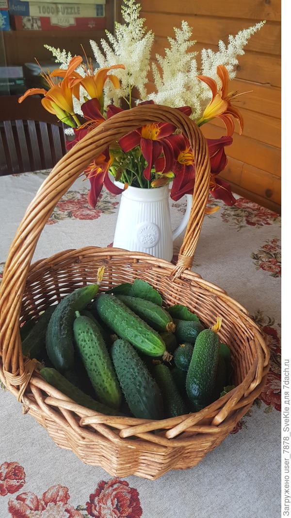 Просто красивая фотка😊