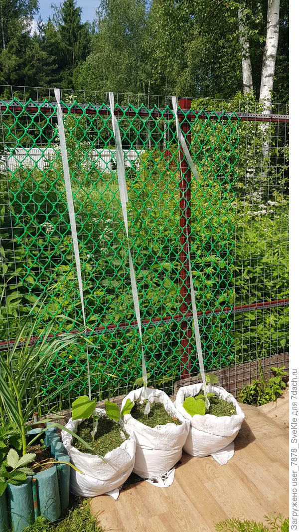 Излишки в мешках