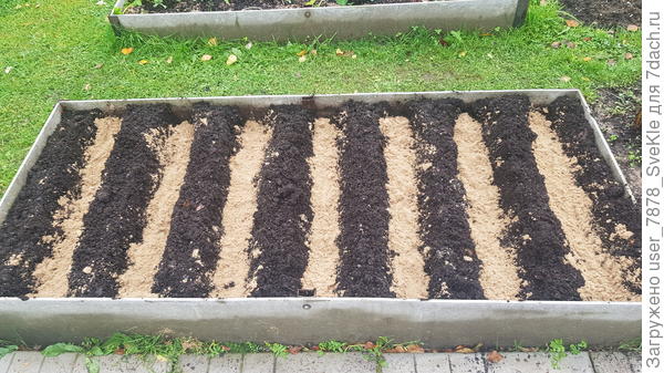 Траншейки под озимый чеснок