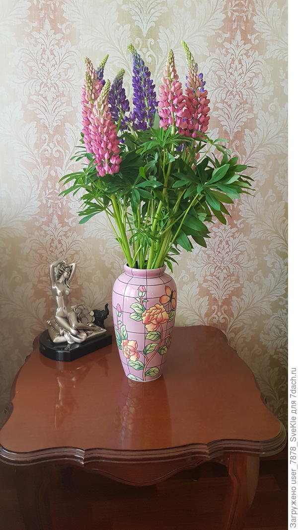 Эти зазаборные