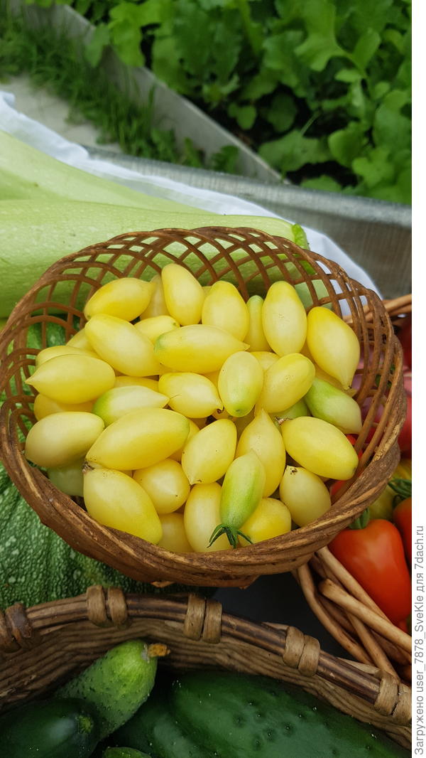 Сумасшедшие вишни Барри