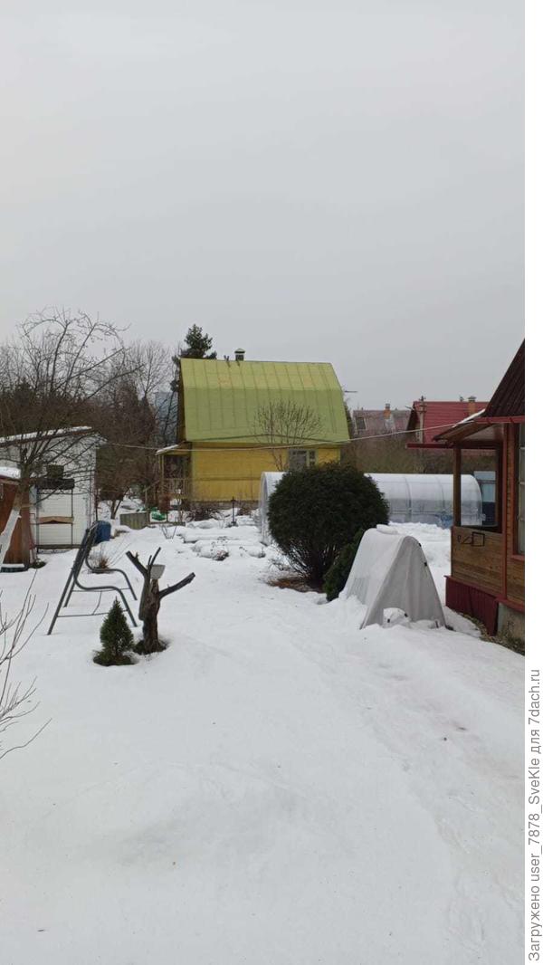 На участке есть минимальный покров, что не может не радовать)