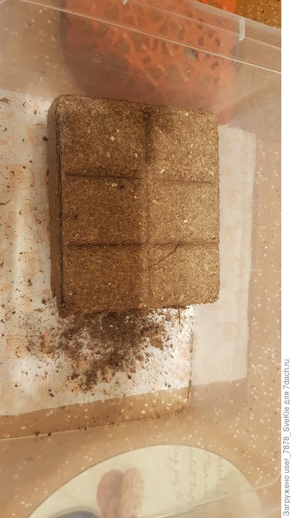 Взяла кусок почвобрикета от Биомастер Крепкая рассада и залила кипятком.