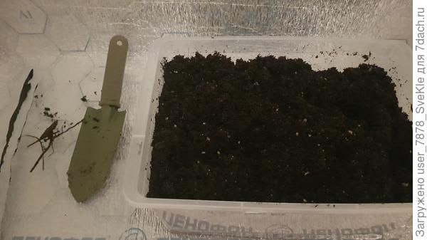 Перемешивала все компоненты ручкой в розовой перчатке. Слева то, что я выбрала в процессе перемешки- мусор.