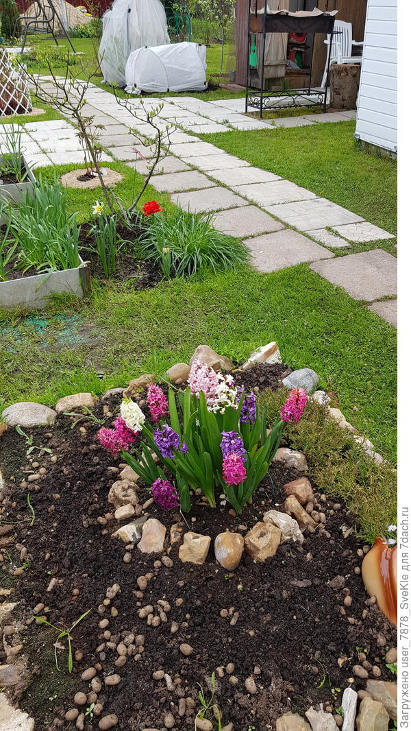 Высадка 21.05.2022. Есть шанс разглядеть в левой нижней части фото.