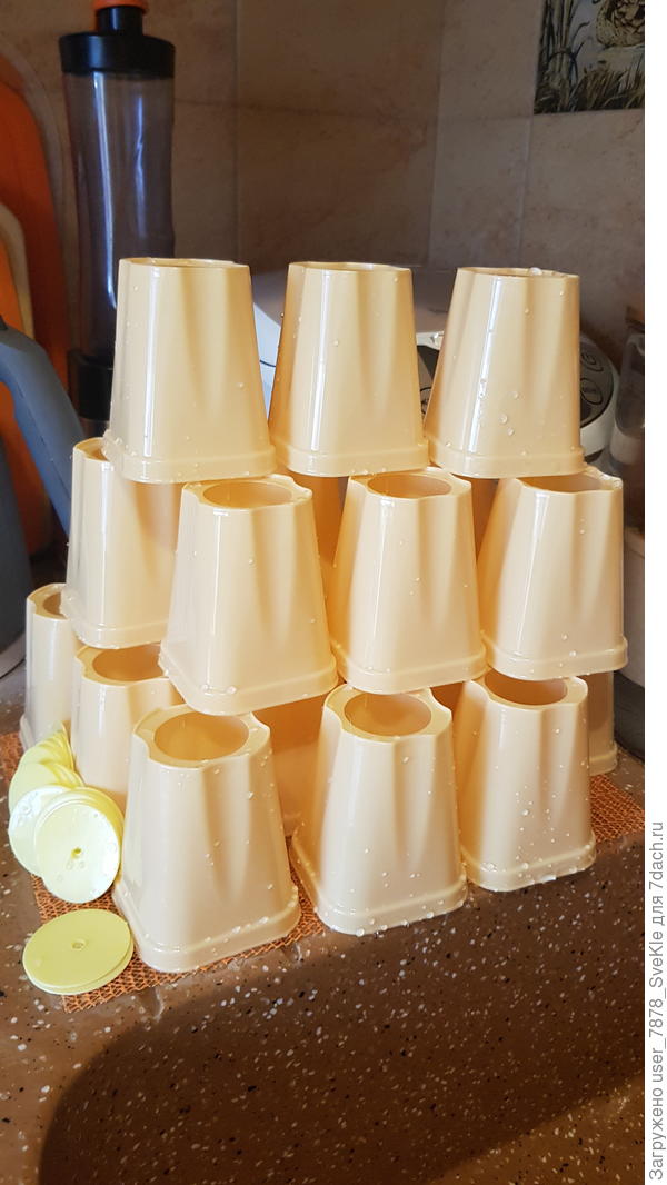 Намыла стаканы. После ужина насыплю в них земельки. У батареи +31,1. Сейчас буду искать, чем завесить, иначе все сварятся.