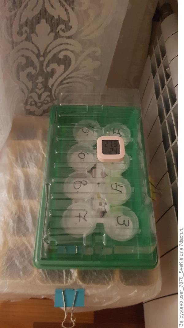 Пока не выкинула и не сошла с дистанции. У радиатора сформировалась небольшая пирамида. Ждём завтра. Интересно, как мне будет завтра?