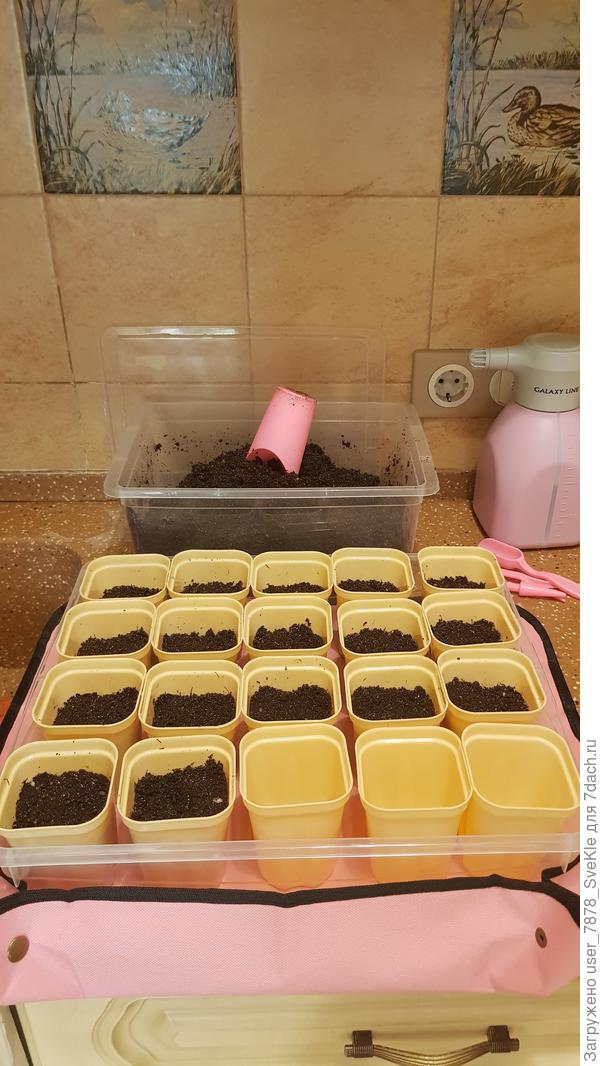 Наполнила стаканчики.