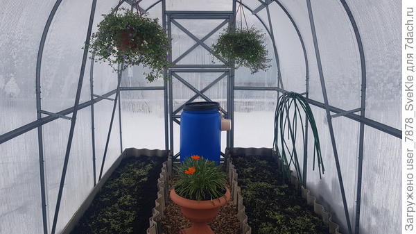 ...вплоть до 9 ноября 2024 года