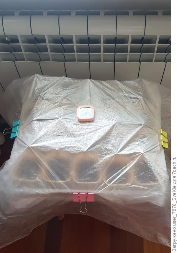 Вот здесь и будут тусовать мои горшочки. Еще сейчас батарею завешу.