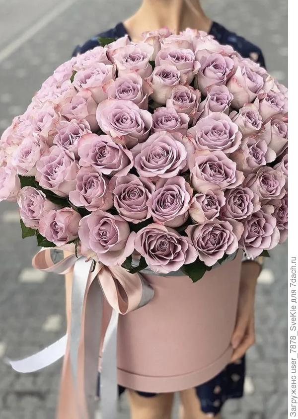 С Днём Рождения, дорогая! Желаю тебе добра, света, мира, крепкого здоровья, больше улыбок и отличного настроения! Пусть жизненные невзгоды преодолеваются с легкостью и оптимизмом, впредь всё плохое обходит твой дом стороной, а каждый твой день будет наполнен радостью и счастьем! И конечно, желаю тебе светлой веры, огромной надежды, душевной бодрости, пусть твоя неиссякаемая жизненная энергия поможет воплотить в жизнь самые невероятные замыслы! Крепко обнимаю!