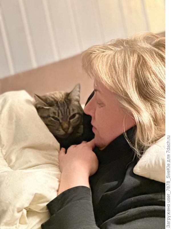 Пришли с прогулки и увалились какой-то фильм смотреть. Стив пришел и забрался на меня. Тяжелый, дышать аж трудно🤣 Пыталась спихнуть его, фиг-то, вцепился когтями мне в кофту😅