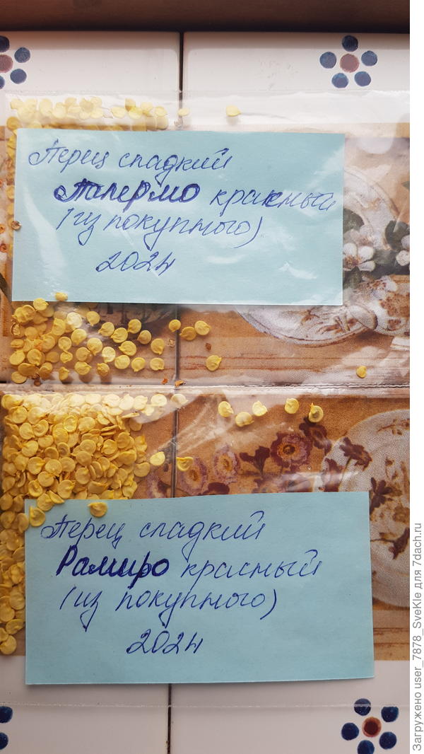 Палермо и Рамиро натрясла из покупных в ноябре 2024