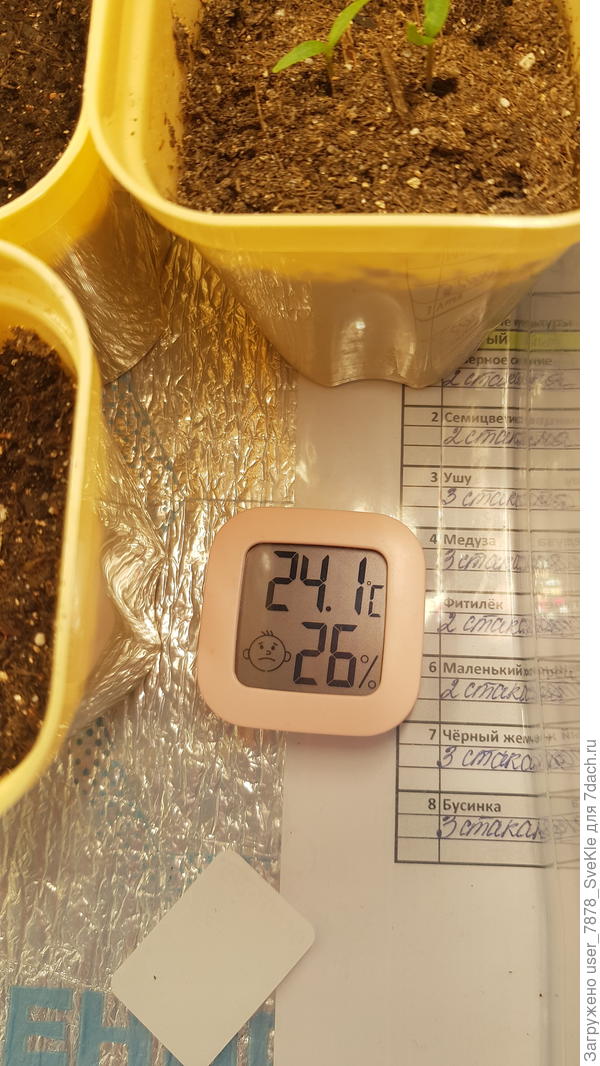 Вот сейчас как. Окно на щели зимнего проветривания. Выходит на балкон. Там окно открыто.