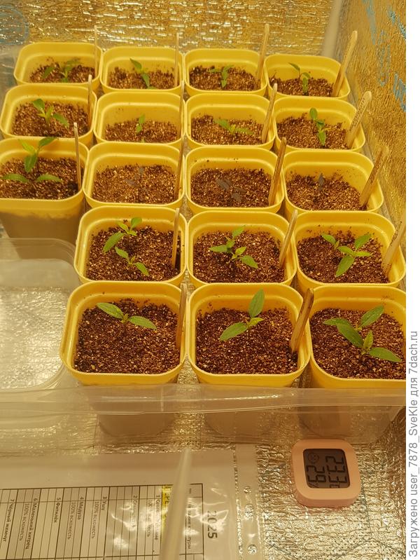 Вот такие они сегодня утром. 24.02.