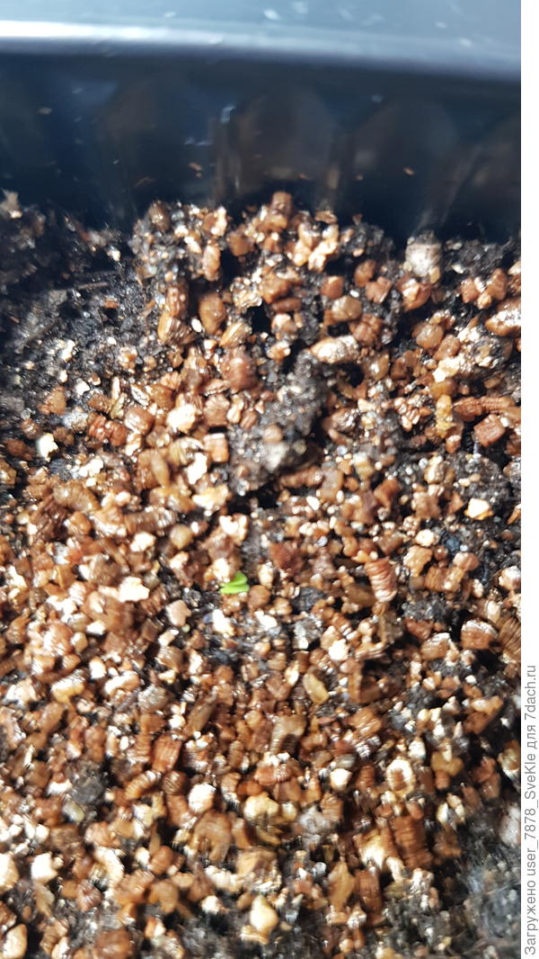 ...но если сильно приглядеться, в одной ячейке кажется появилась зеленая бусинка🧐