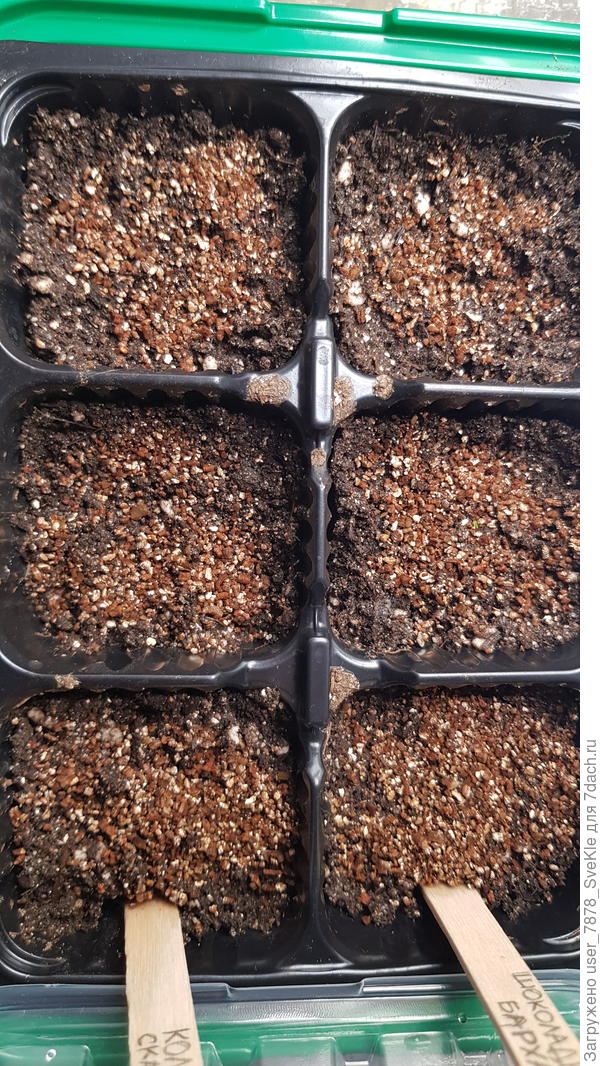 В общем и целом ничего не происходит...