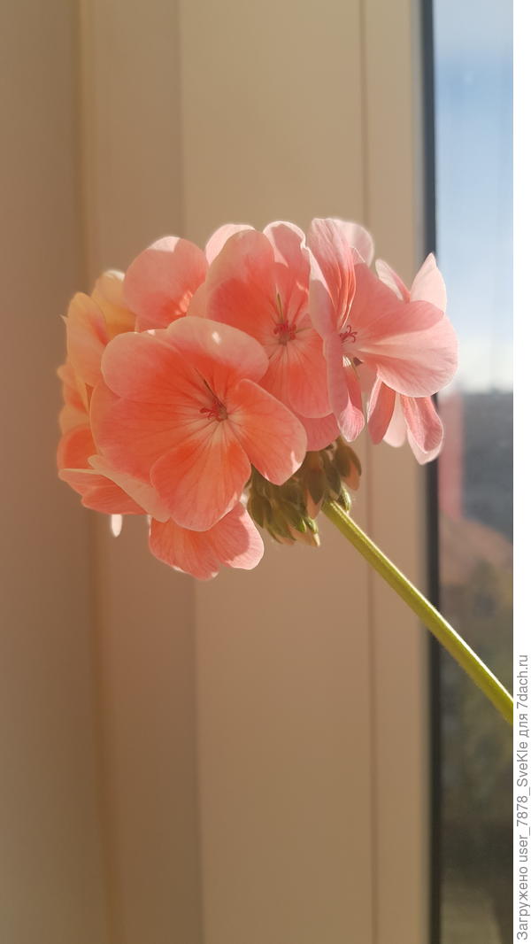 Всем доброго солнечного весеннего утра!