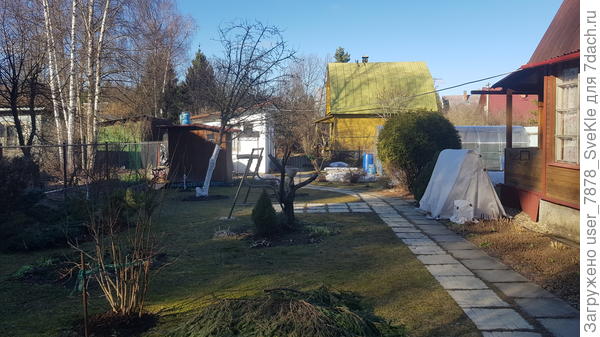 В целом вот так