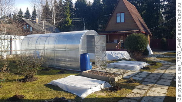 Вот так у нас после зимы. Как осенью с сестрицей убрались, так и чистенько)