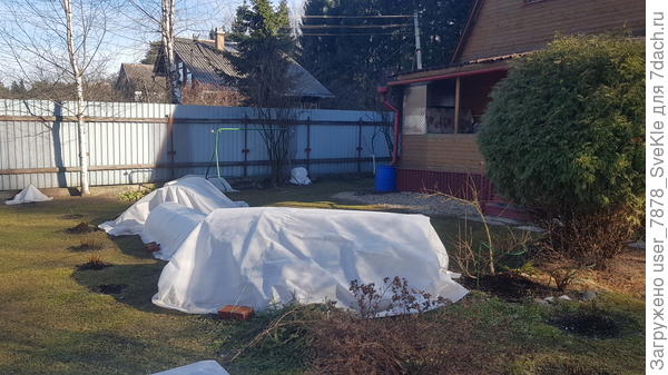 Вот с этого укрытия сорвало вчера лутрасил