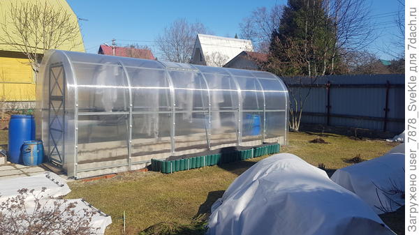 В теплице развесила "портянки" - скручивать бинты было некогда.