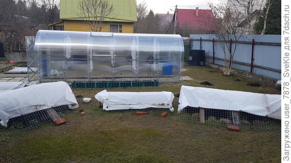 Приоткрыли розарии