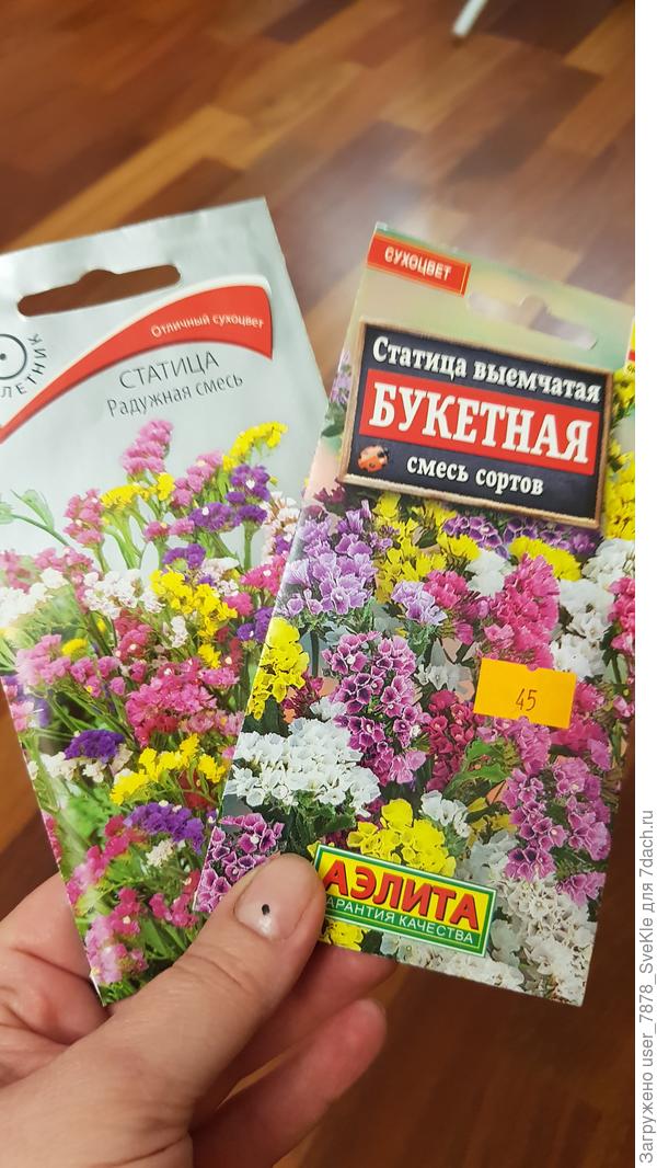 Вот, по случаю приобретены сегодня в местном садовом центре)))