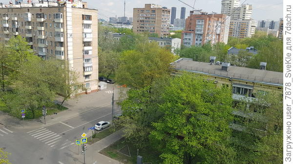 В Москве всё вмиг зазеленело