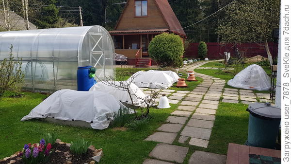 Красота да и только!