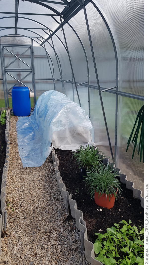 Специальная пленка для теплиц. Тоже накинули сверху лутрастла. Самые неженки там циннии