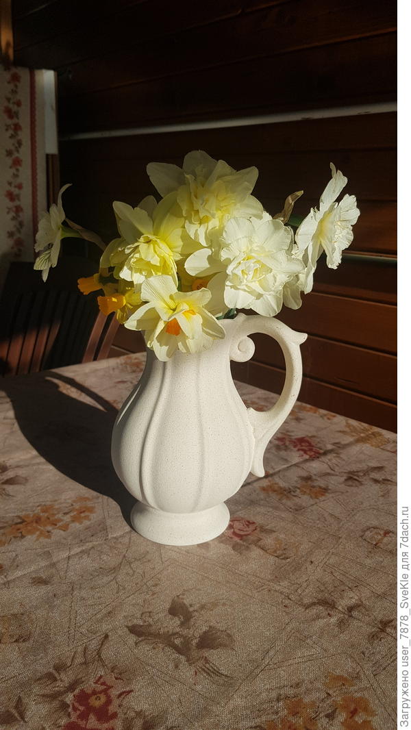 А к вечеру выглянуло солнце. Точно. Заморозок будет.