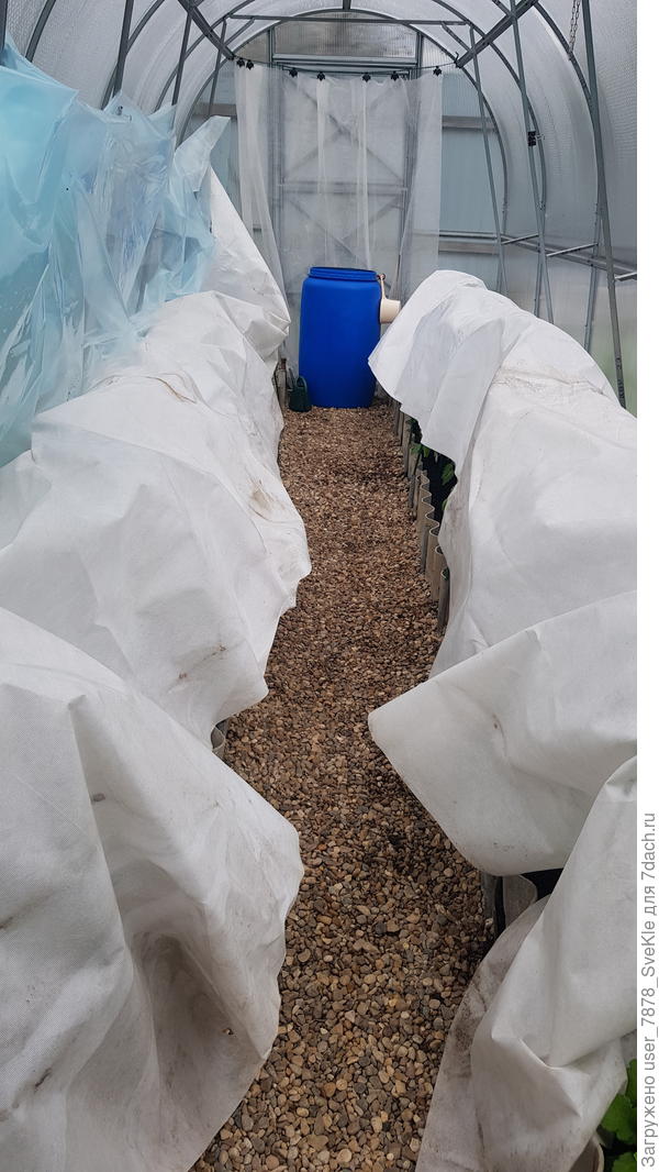 Толстый спанбонд, а сверху пленка для теплиц
