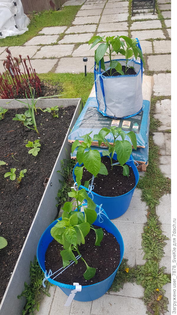 ...а ведра покупала, написано было 13 или 14 литров... сумка выглядит компактней