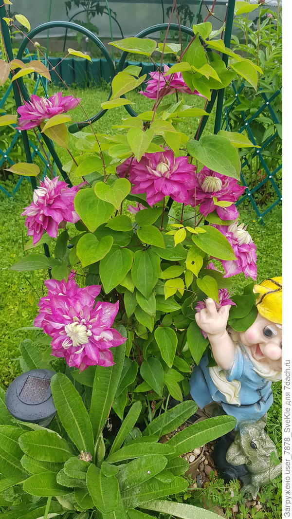 "Кайзер" готовится распушиться)