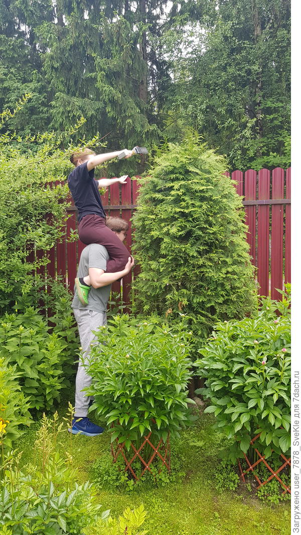 ...когда стремянка надоела🤣